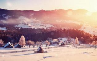misterioso paesaggio invernale montagne maestose in inverno. magico albero innevato d'inverno. biglietto di auguri con foto. effetto luce bokeh, filtro morbido. foto