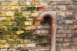 tubo arrugginito curvo davanti al muro di mattoni invecchiato con muschio verde foto