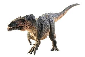 giganotosaurus, dinosauro su sfondo bianco. foto