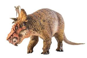 pachyrhinosaurus, dinosauro su sfondo bianco. foto
