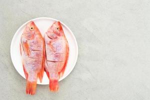 il pesce crudo di tilapia rossa è una specie di pesce d'acqua dolce, servito su un piatto bianco con spezie e limone. messa a fuoco selezionata foto