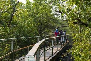 turisti che camminano sul ponte di legno sopraelevato lungo il sundarbans, la più grande foresta di mangrovie del mondo foto