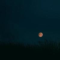 fotografia a fuoco selettivo della luna durante la notte foto