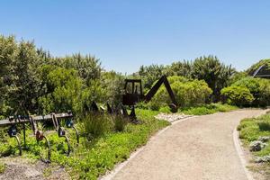 percorso attraverso il parco di Green Point fino a Città del Capo. foto