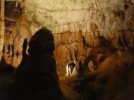 grotta carsica a postojna foto