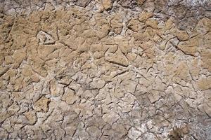 impronte di uccelli sulla spiaggia di sabbia o fango secco del suolo in una giornata di sole foto