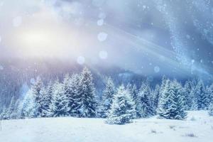 magico paesaggio invernale, sfondo con alcuni tenui riflessi a foto