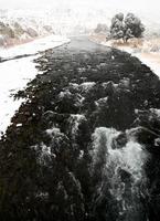 parco di yellowstone wyoming neve invernale foto