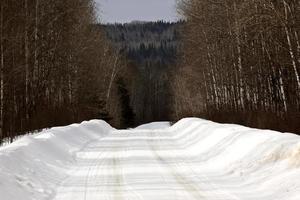 strada innevata in inverno foto