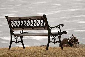 panchina nel parco con vista sul lago ghiacciato foto