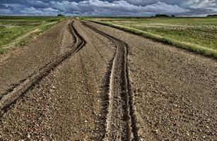 tracce di pneumatici nel fango foto