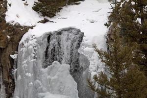 parco di yellowstone wyoming inverno neve cascata foto