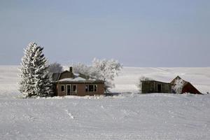 una gelida giornata di campagna foto