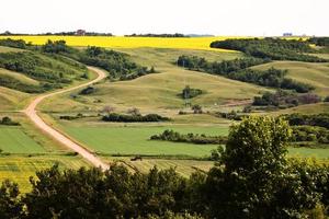 una strada di campagna nello scenario del Saskatchewan foto