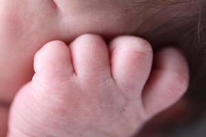 mano del bambino fotografata allo studio macmaster nella mascella dell'alce foto