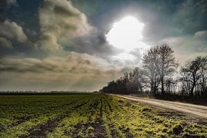 strada nel campo e il sole in primavera foto