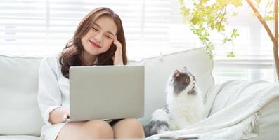 giovane donna d'affari asiatica che lavora e gioca con il gatto foto