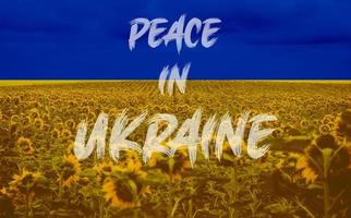 pace in ucraina, nessuna guerra in ucraina foto