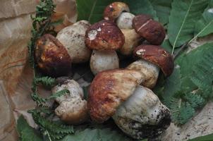 cibo vegetariano ai funghi porcini foto