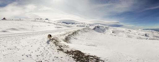 stazione sciistica della sierra nevada in inverno, piena di neve. foto