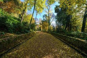 cuesta de gomerez in autunno questa strada porta al complesso dell'alhambra foto