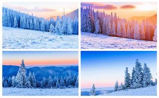 collage delle alpi invernali foto