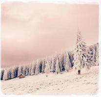 paesaggio invernale con neve nelle montagne dei Carpazi, Ucraina. vi foto