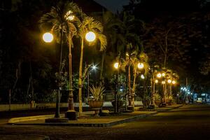 le luci del giardino brillano nella bella notte foto