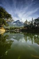 carta da parati naturale bedakah lago al mattino che si trova nel villaggio di bedakah, distretto di wonosobo, indonesia. foto