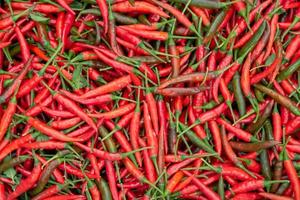 sfondo di peperoncino rosso fresco. foto