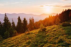 bel tramonto nelle montagne dei Carpazi ucraina foto