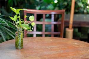 pianta di epipremnum aureum in bottiglia di vetro decorazione su tavola di legno foto