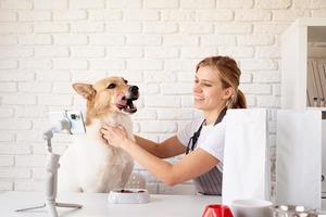 giovane blogger caucasica toelettatore che parla guardando alla telecamera, avendo streaming con il suo cane foto