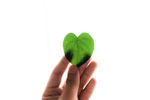 a forma di cuore a foglia verde in mano foto