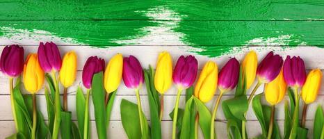 bellissimi tulipani. sfondo della natura primaverile per banner web e card design.