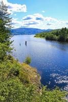 bella montagna e mare in norvegia. fiordi fiume foresta natura. foto