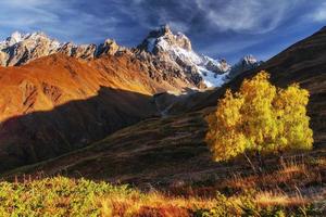 paesaggio autunnale e cime innevate. foto