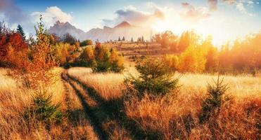 fantastico paesaggio di montagna autunnale. arancione durante l'evento foto