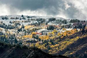 colori autunnali nel wyoming foto