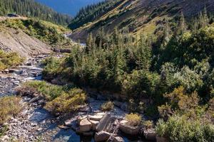 insenatura nel parco nazionale del ghiacciaio vicino alla strada che va verso il sole foto