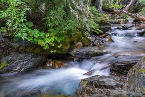 insenatura dell'olanda in montana foto