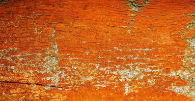 corteccia di tronco d'albero della foresta antica rossa e arancione colorata ricoperta di licheni, germania, primo piano, dettagli foto