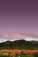 copertina con magica foresta da favola colorata al parco nazionale Tierra del Fuego in patagonia, argentina, periodo autunnale dorato, vista panoramica. foto