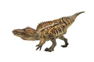 acrocanthosaurus, dinosauro su sfondo bianco foto