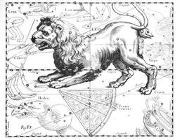 costellazione astronomica del leone su sfondo bianco foto