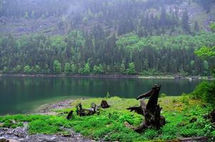 paesaggio naturale con lago foto