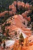 vista panoramica nel canyon di Bryce nello Utah meridionale foto