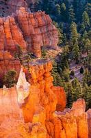 Hoodoos incandescente nel Bryce Canyon foto