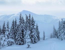 misterioso paesaggio invernale montagne maestose foto