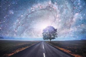 strada asfaltata e albero solitario sotto un cielo stellato foto